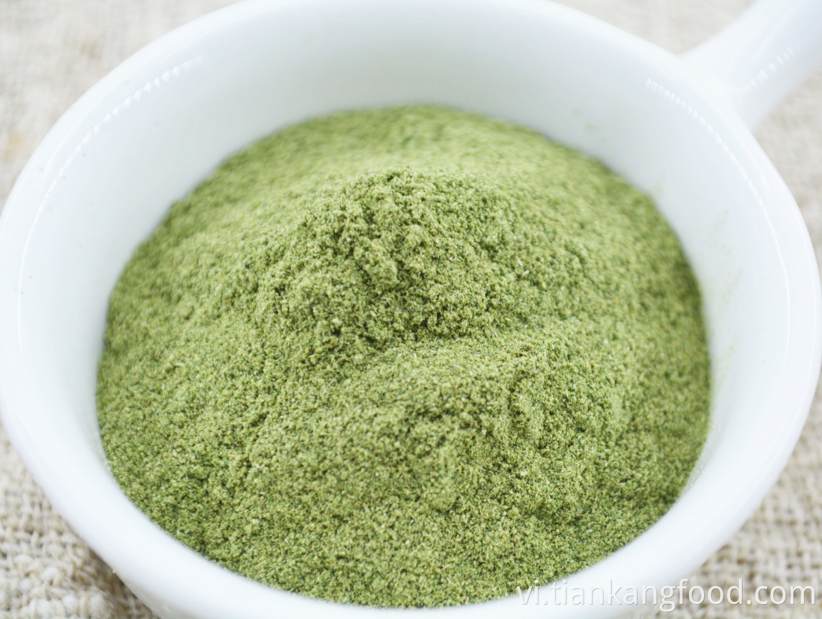 high quality celery powder